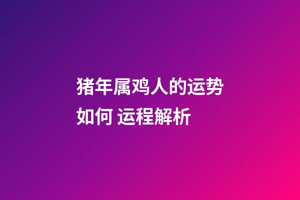猪年属鸡人的运势如何 运程解析